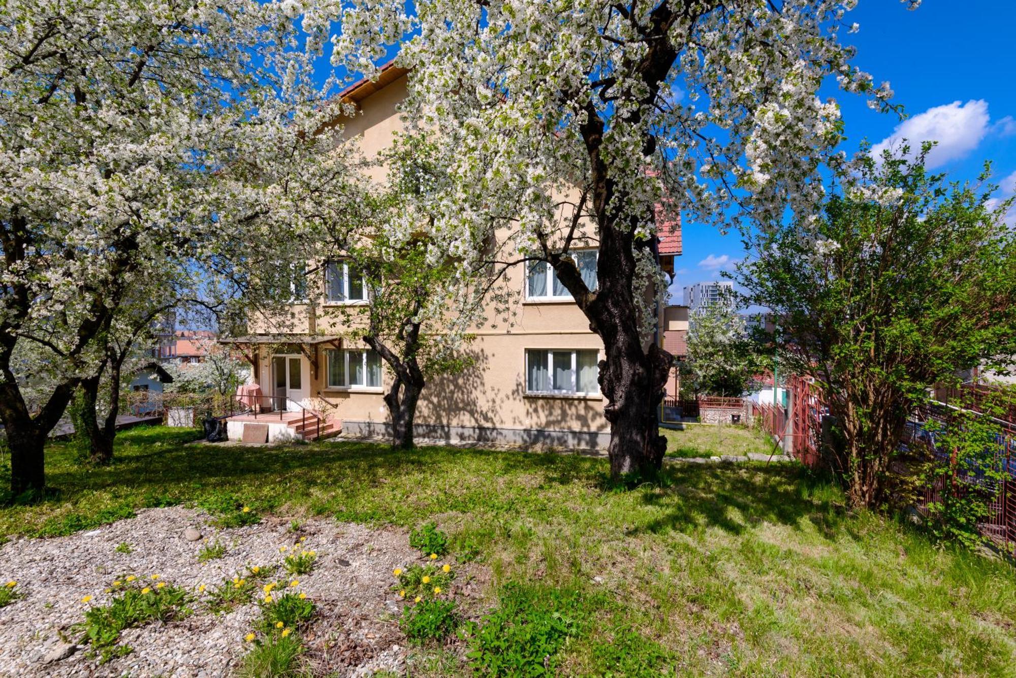 Casa Cu Cires Brasov Apartment Exterior photo